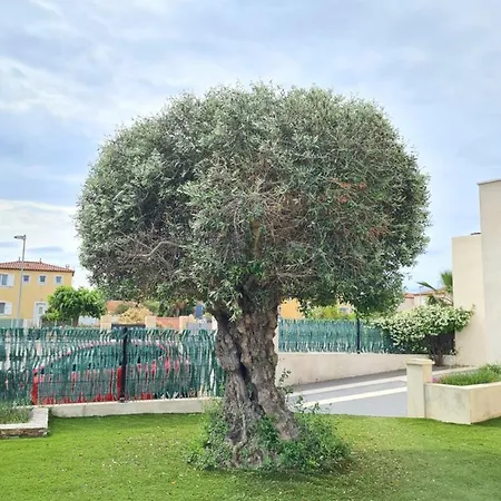 305 Villa De Standing Avec Piscine Villa